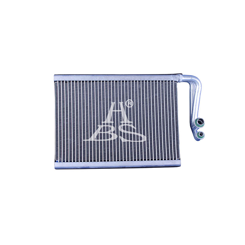 Evaporator For A2058307900